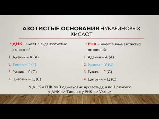 АЗОТИСТЫЕ ОСНОВАНИЯ НУКЛЕИНОВЫХ КИСЛОТ ДНК – имеет 4 вида азотистых оснований: Аденин