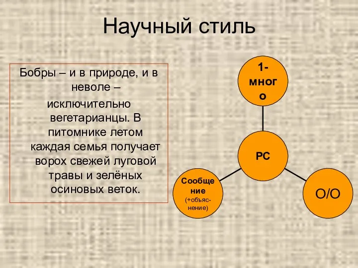 Научный стиль Бобры – и в природе, и в неволе – исключительно