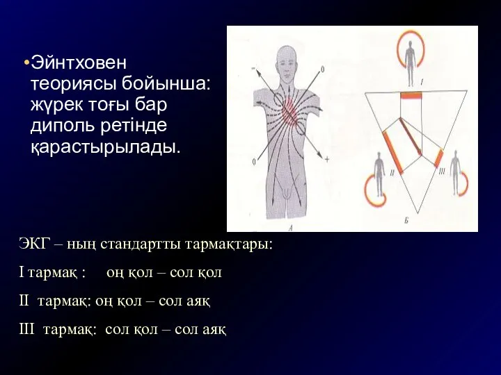 Эйнтховен теориясы бойынша: жүрек тоғы бар диполь ретінде қарастырылады. ЭКГ – ның