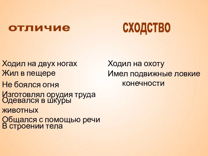 отличие сходство Ходил на двух ногах Жил в пещере Не боялся огня