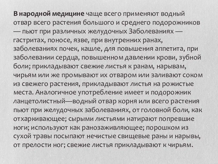 В народной медицине чаще всего применяют водный отвар всего растения большого и