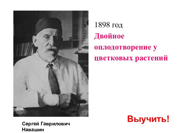 1898 год Двойное оплодотворение у цветковых растений Сергей Гаврилович Навашин Выучить!