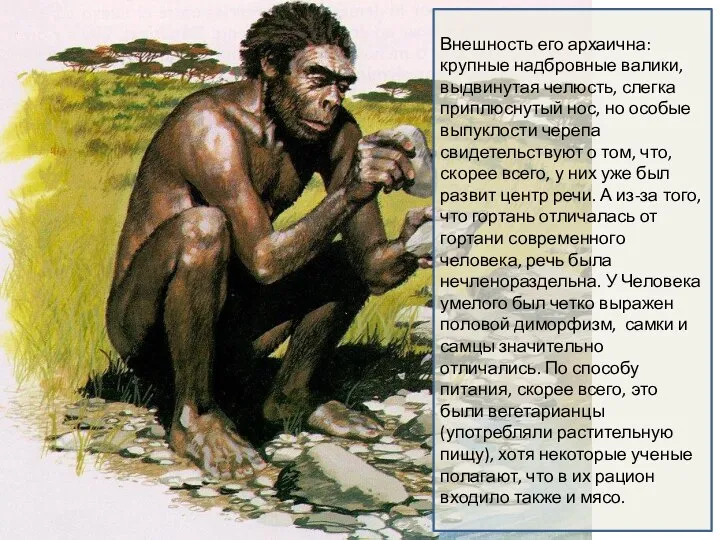 Внешность его архаична: крупные надбровные валики, выдвинутая челюсть, слегка приплюснутый нос, но