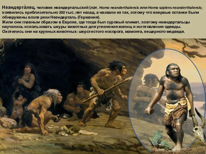 Неандерта́лец, человек неандертальский (лат. Homo neanderthalensis или Homo sapiens neanderthalensis; появились приблизительно