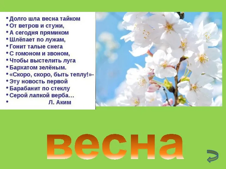 весна