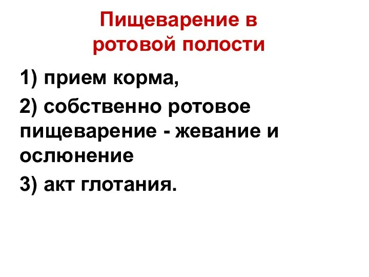 Пищеварение в ротовой полости 1) прием корма, 2) собственно ротовое пищеварение -