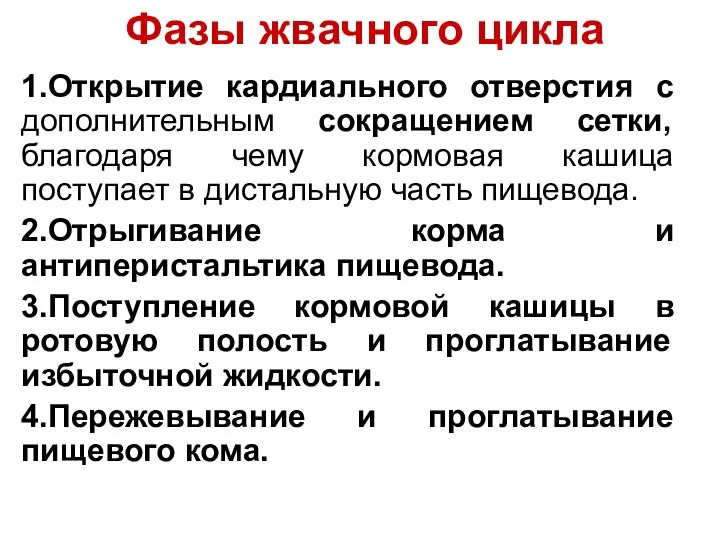 Фазы жвачного цикла 1.Открытие кардиального отверстия с дополнительным сокращением сетки, благодаря чему