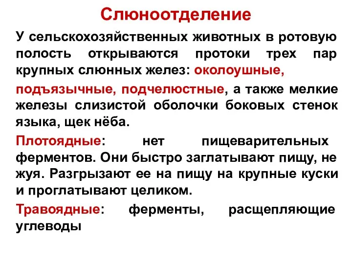 Слюноотделение У сельскохозяйственных животных в ротовую полость открываются протоки трех пар крупных