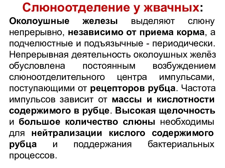 Околоушные железы выделяют слюну непрерывно, независимо от приема корма, а подчелюстные и