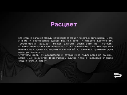 Расцвет это стадия баланса между самоконтролем и гибкостью организации, это знание и