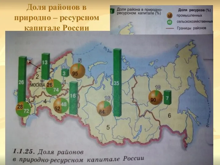 Доля районов в природно – ресурсном капитале России