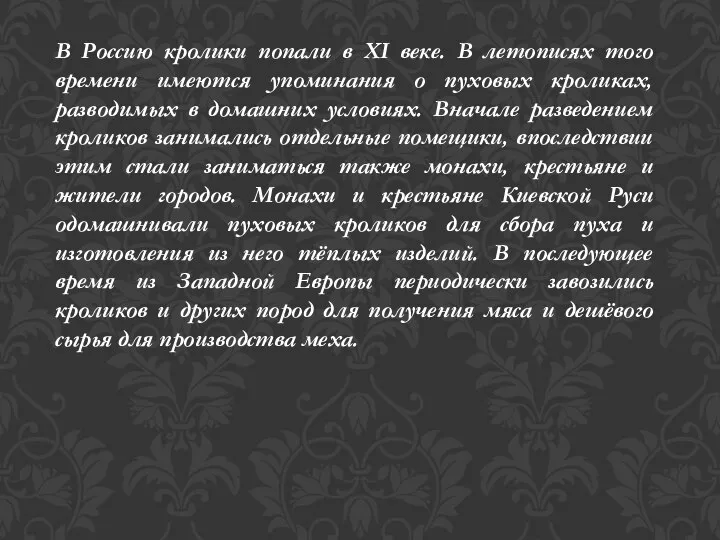 В Россию кролики попали в XI веке. В летописях того времени имеются