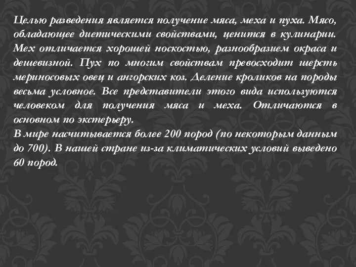 Целью разведения является получение мяса, меха и пуха. Мясо, обладающее диетическими свойствами,