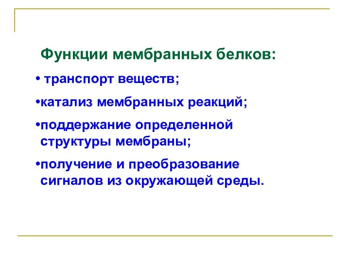 Функции мембранных белков: транспорт веществ; катализ мембранных реакций; поддержание определенной структуры мембраны;