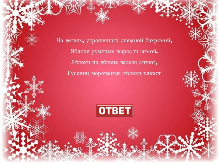 На ветвях, украшенных снежной бахромой, Яблоки румяные выросли зимой. Яблоки на яблоне