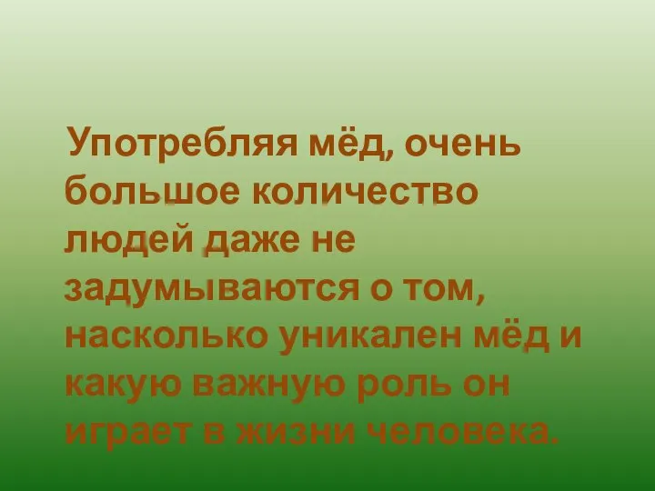 Употребляя мёд, очень большое количество людей даже не задумываются о том, насколько