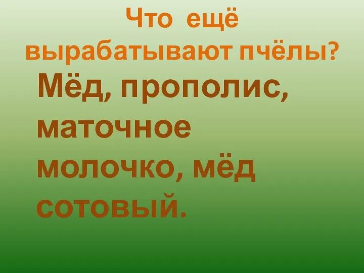 Что ещё вырабатывают пчёлы? Мёд, прополис, маточное молочко, мёд сотовый.