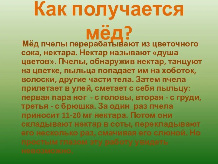 Как получается мёд? Мёд пчелы перерабатывают из цветочного сока, нектара. Нектар называют