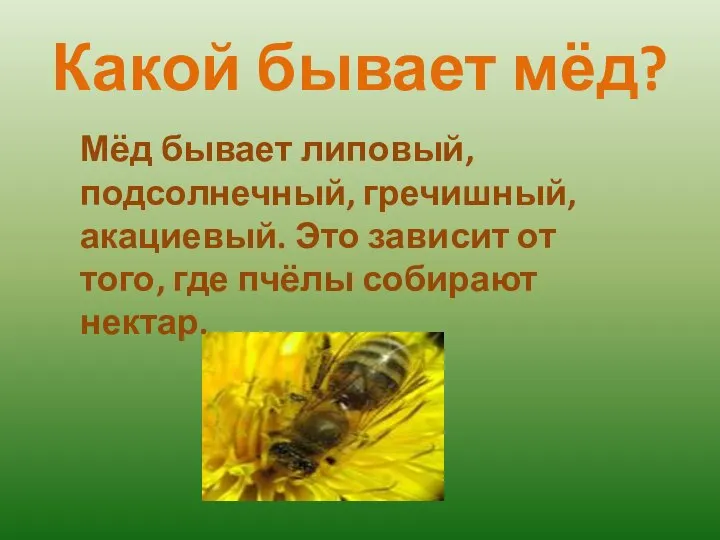 Какой бывает мёд? Мёд бывает липовый, подсолнечный, гречишный, акациевый. Это зависит от