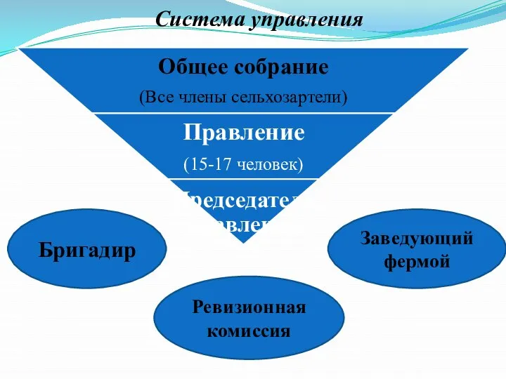 Система управления Ревизионная комиссия Заведующий фермой Бригадир