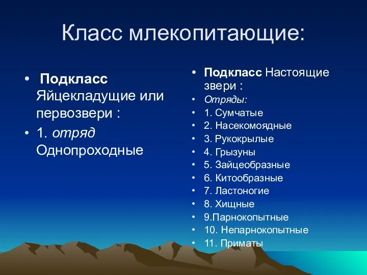 Класс млекопитающие: Подкласс Яйцекладущие или первозвери : 1. отряд Однопроходные Подкласс Настоящие