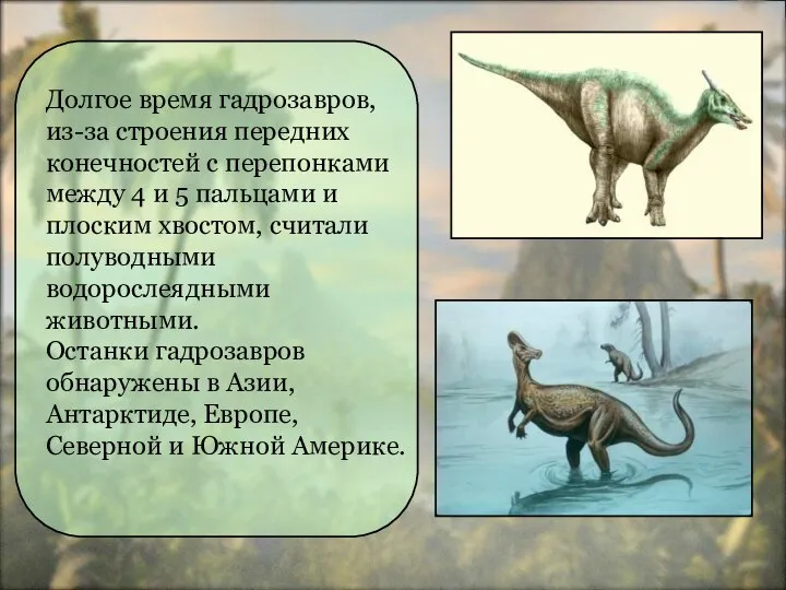 Долгое время гадрозавров, из-за строения передних конечностей с перепонками между 4 и