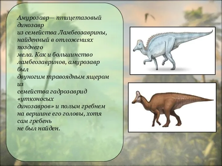 Амурозавр— птицетазовый динозавр из семейства Ламбеозаврины, найденный в отложениях позднего мела. Как