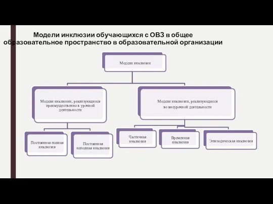 Модели инклюзии обучающихся с ОВЗ в общее образовательное пространство в образовательной организации