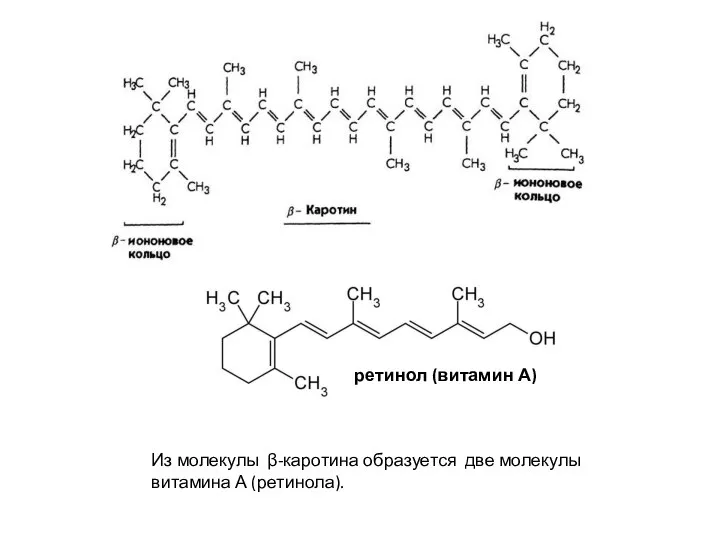 ретинол (витамин А) Из молекулы β-каротина образуется две молекулы витамина А (ретинола).