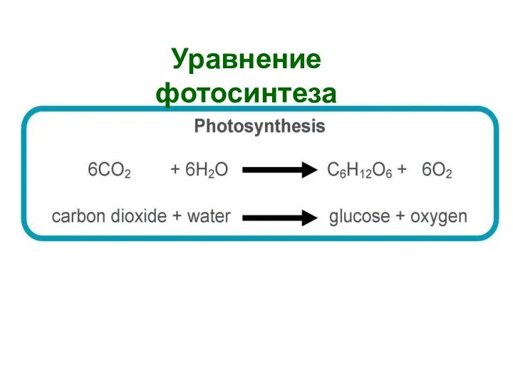 Уравнение фотосинтеза
