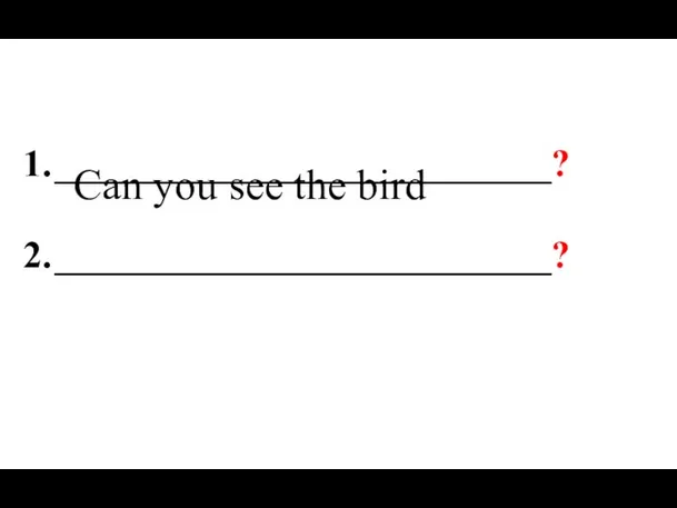 __________________________? __________________________? Can you see the bird