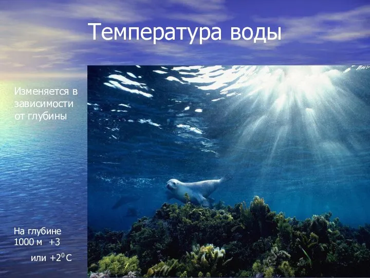Температура воды Изменяется в зависимости от глубины На глубине 1000 м +3 или +20 С