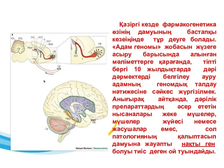 Қазіргі кезде фармакогенетика өзінің дамуының бастапқы кезеіңінде тұр деуге болады. «Адам геномы»