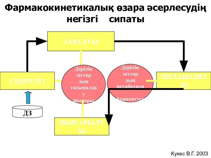 СІҢІРІЛУІ ТАРАЛУЫ МЕТАБОЛИЗМ ШЫҒАРЫЛУЫ Дәрілік заттар дың тасымалдау шылары Дәрілік заттар дың