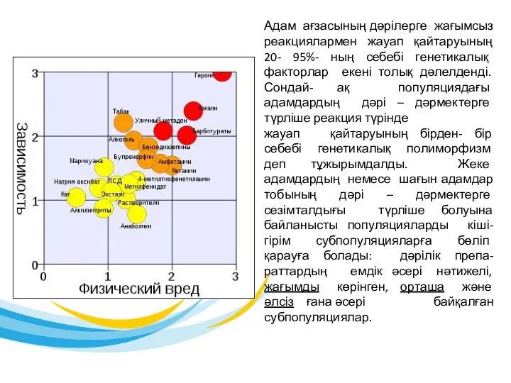 Адам ағзасының дәрілерге жағымсыз реакциялармен жауап қайтаруының 20- 95%- ның себебі генетикалық