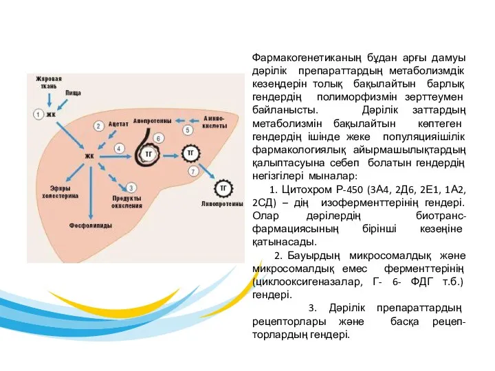 Фармакогенетиканың бұдан арғы дамуы дәрілік препараттардың метаболизмдік кезеңдерін толық бақылайтын барлық гендердің