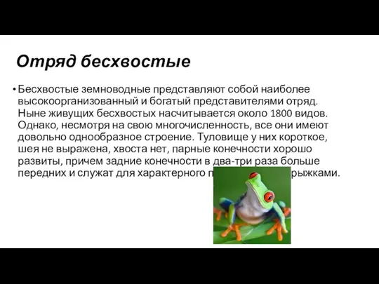 Отряд бесхвостые Бесхвостые земноводные представляют собой наиболее высокоорганизованный и богатый представителями отряд.