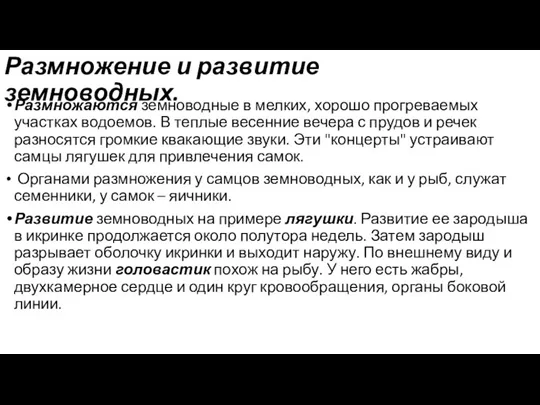 Размножение и развитие земноводных. Размножаются земноводные в мелких, хорошо прогреваемых участках водоемов.