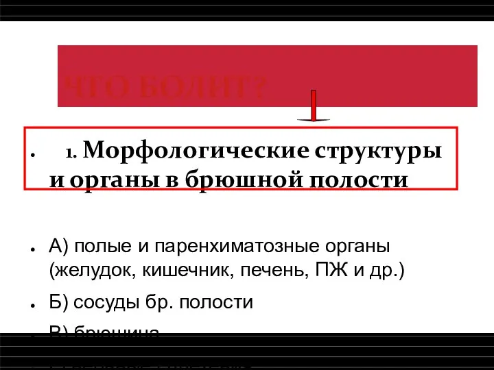 ЧТО БОЛИТ? 1. Морфологические структуры и органы в брюшной полости А) полые