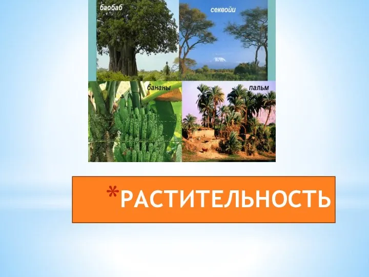 РАСТИТЕЛЬНОСТЬ