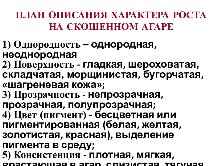 ПЛАН ОПИСАНИЯ ХАРАКТЕРА РОСТА НА СКОШЕННОМ АГАРЕ 1) Однородность – однородная, неоднородная