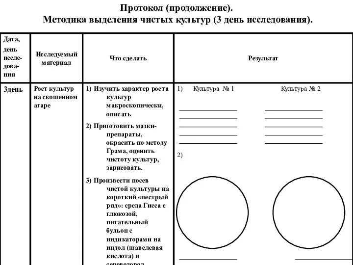 Протокол (продолжение). Методика выделения чистых культур (3 день исследования).