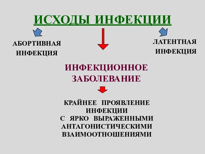 ИСХОДЫ ИНФЕКЦИИ КРАЙНЕЕ ПРОЯВЛЕНИЕ ИНФЕКЦИИ С ЯРКО ВЫРАЖЕННЫМИ АНТАГОНИСТИЧЕСКИМИ ВЗАИМООТНОШЕНИЯМИ ИНФЕКЦИОННОЕ ЗАБОЛЕВАНИЕ АБОРТИВНАЯ ИНФЕКЦИЯ ЛАТЕНТНАЯ ИНФЕКЦИЯ