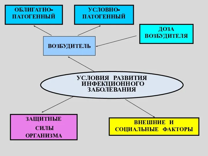 УСЛОВИЯ РАЗВИТИЯ ИНФЕКЦИОННОГО ЗАБОЛЕВАНИЯ ВОЗБУДИТЕЛЬ ДОЗА ВОЗБУДИТЕЛЯ ЗАЩИТНЫЕ СИЛЫ ОРГАНИЗМА ВНЕШНИЕ И