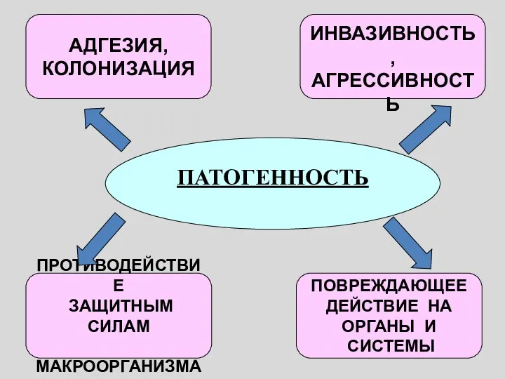 ПАТОГЕННОСТЬ АДГЕЗИЯ, КОЛОНИЗАЦИЯ ИНВАЗИВНОСТЬ, АГРЕССИВНОСТЬ ПРОТИВОДЕЙСТВИЕ ЗАЩИТНЫМ СИЛАМ МАКРООРГАНИЗМА ПОВРЕЖДАЮЩЕЕ ДЕЙСТВИЕ НА ОРГАНЫ И СИСТЕМЫ