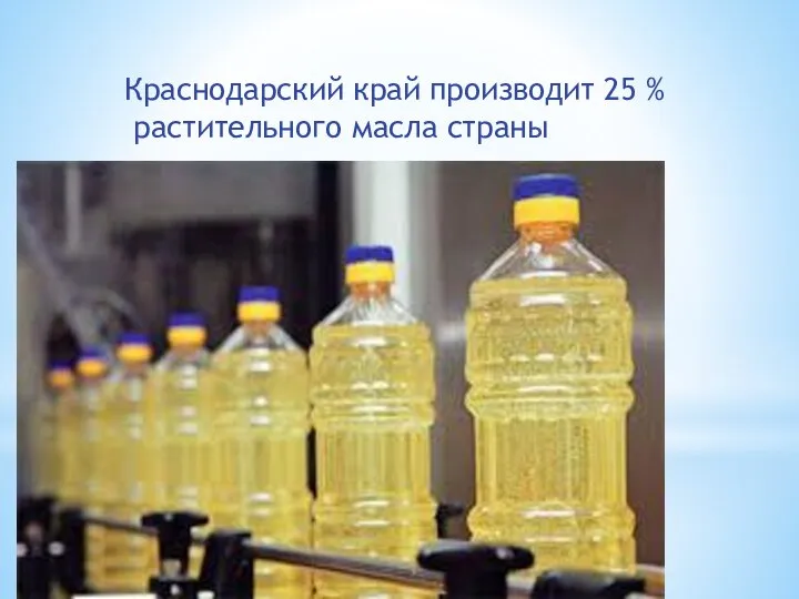 Краснодарский край производит 25 % растительного масла страны