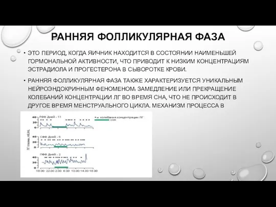 РАННЯЯ ФОЛЛИКУЛЯРНАЯ ФАЗА ЭТО ПЕРИОД, КОГДА ЯИЧНИК НАХОДИТСЯ В СОСТОЯНИИ НАИМЕНЬШЕЙ ГОРМОНАЛЬНОЙ