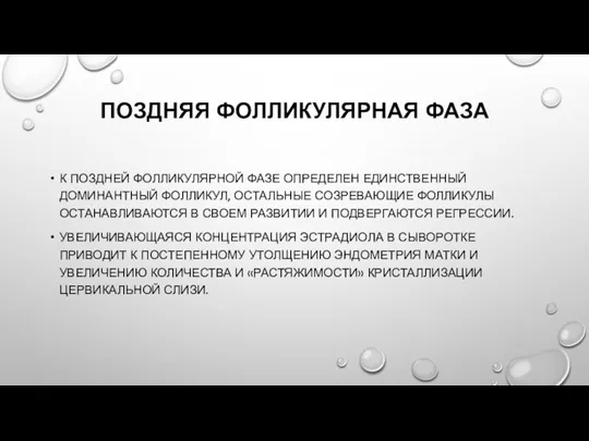 ПОЗДНЯЯ ФОЛЛИКУЛЯРНАЯ ФАЗА К ПОЗДНЕЙ ФОЛЛИКУЛЯРНОЙ ФАЗЕ ОПРЕДЕЛЕН ЕДИНСТВЕННЫЙ ДОМИНАНТНЫЙ ФОЛЛИКУЛ, ОСТАЛЬНЫЕ