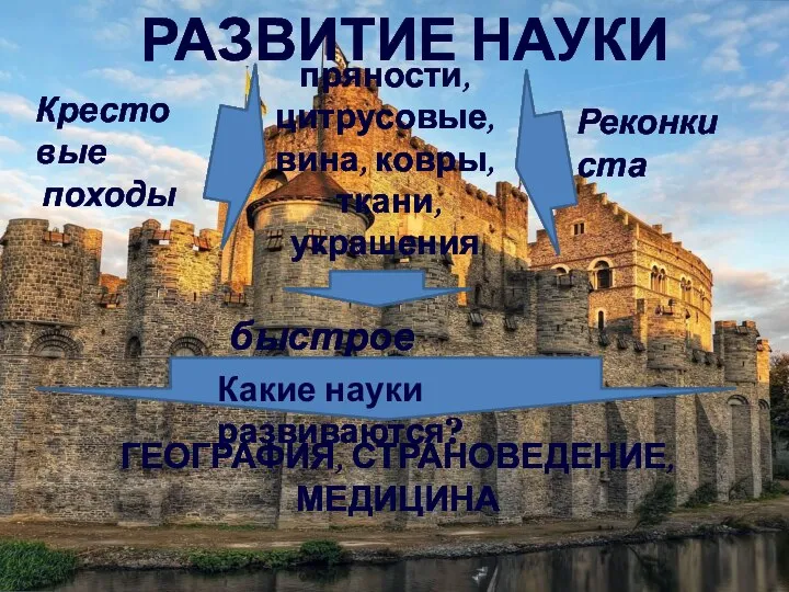 РАЗВИТИЕ НАУКИ Крестовые походы пряности, цитрусовые, вина, ковры, ткани, украшения быстрое обогащение