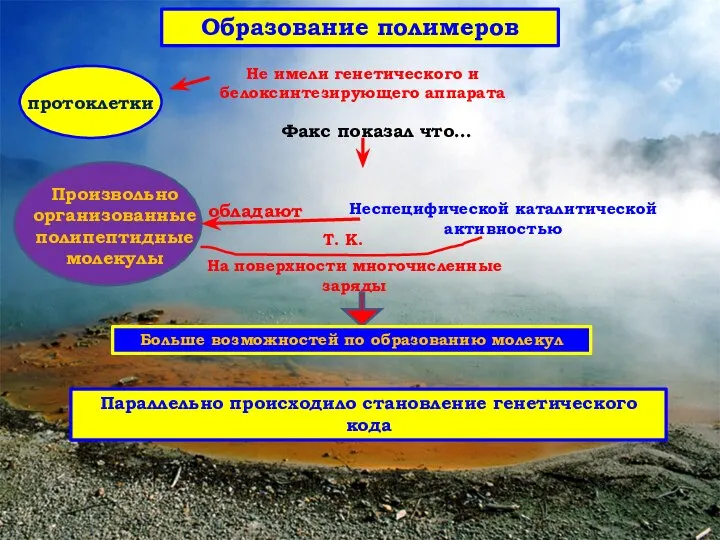 Образование полимеров протоклетки Не имели генетического и белоксинтезирующего аппарата Факс показал что…